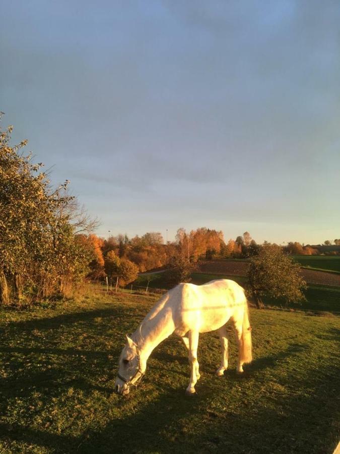 Ferienhof Loew Salzweg Exterior foto